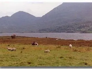 Valley View Отель